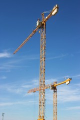 Grue 2