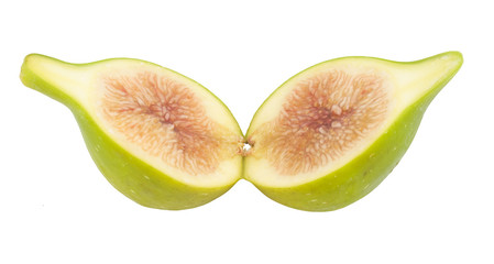 fig isolated in white background