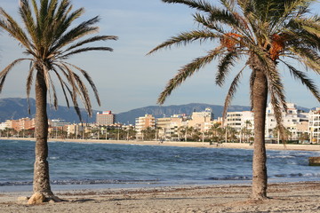 Arenal - Playa de Palma auf Mallorca