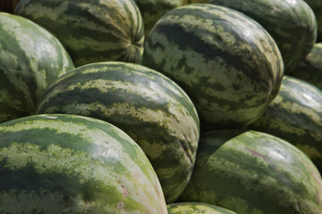 Watermelon Pile