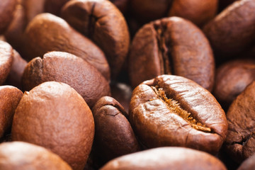 coffee beans closeup