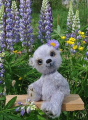 Teddy-bear Chupa among flowers