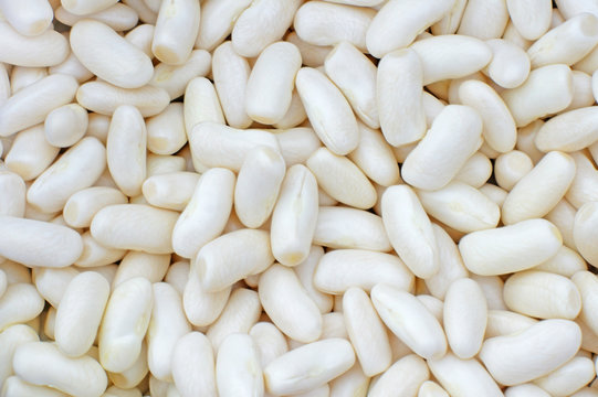 haricots blancs