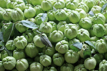 Fresh Guava Fruits Background