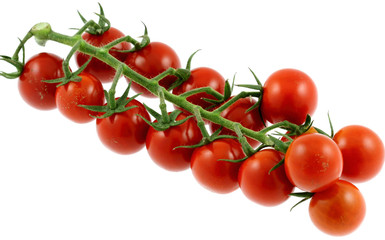 grappe tomates cerises pour cocktails et apéritifs, fond blanc