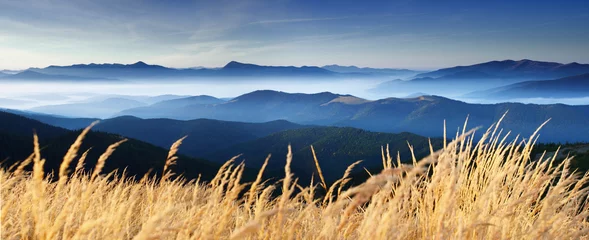 Afwasbaar Fotobehang Panorama herfst in de bergen