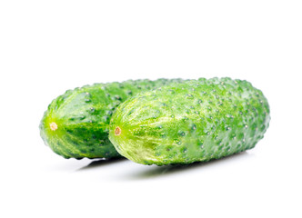 Cucumber