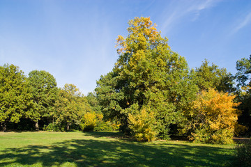 Autumn landscape