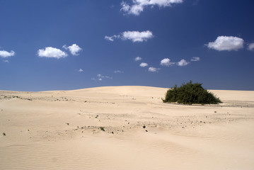 Sanddünen El Jable