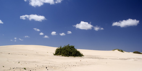 Sanddünen El Jable