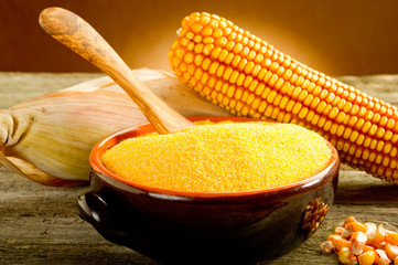 maize  flour - farina di mais