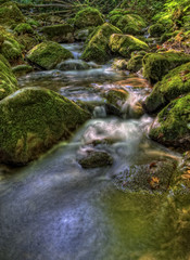 Arroyo en el desfiladero de Las Xanas.