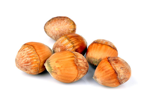 Noisettes
