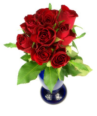 Red roses in vase isolated on white background