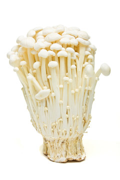 Enoki Mushrooms