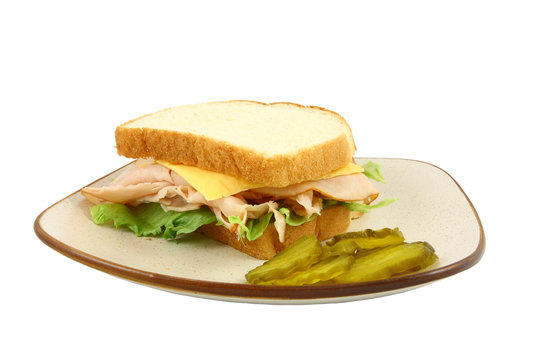 Turkey Lettuce and Cheese Sandwich