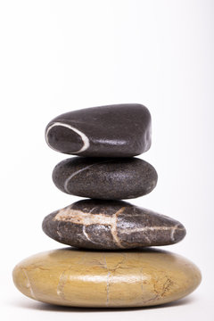 Wellness #1