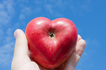 apple heart hand