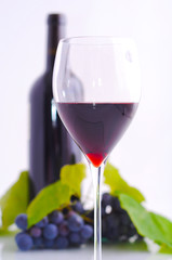 Glass of wine