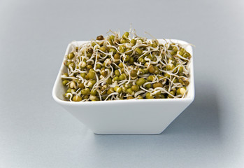 green gram sprouts against light grey background