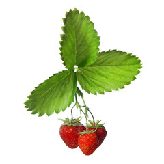 Strawberry with leaves isolated on white