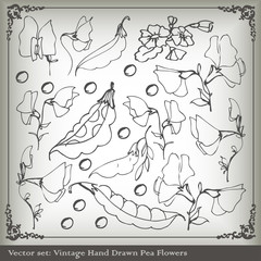 Vintage floral elements vector background