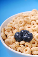 Bowl of oat cereal with blueberries