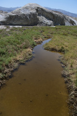 Salt Creek Death Valley habitat for endangered pupfish