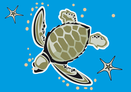 tortue marine étoile de mer