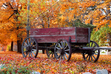 Fototapeta na wymiar Antique wagon under colorful trees in autumn time