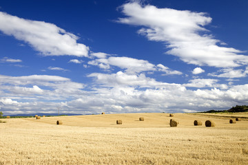 Paisaje estival