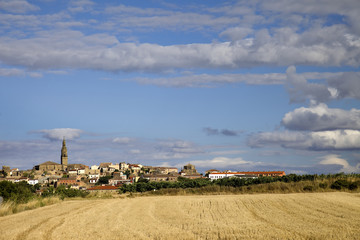 Briones (La Rioja)