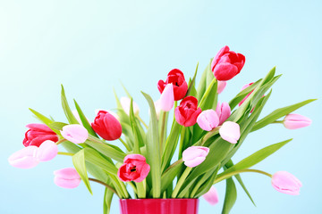 tulips