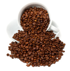Coffee Beans and Cup