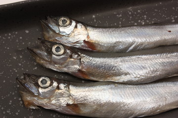 子持ちシシャモ