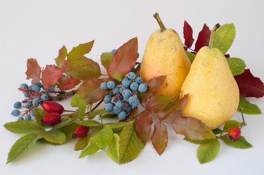 Obst Blumen Bl&auml;tter-Stilleben 364
