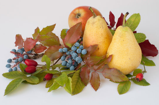 Obst Blumen Bl&auml;tter-Stilleben 365