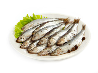 anchovy