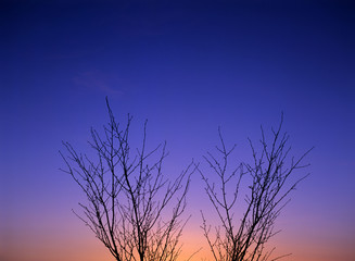 Obraz premium 夕空の階調