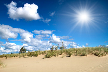 Fototapeta premium Sandy dunes