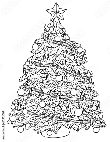 "weihnachtsbaum christbaum tannenbaum weihnachten