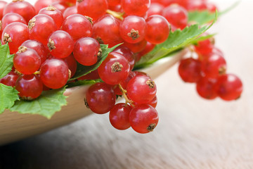 red currant