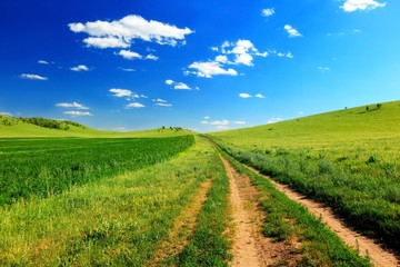 Road in meadow