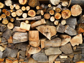 Detail of fire-wood
