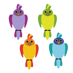 four parrots on white background