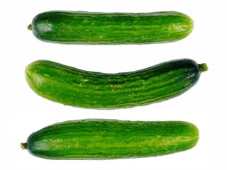 zuchinni