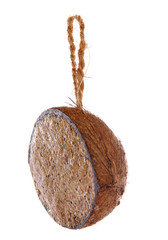 coconut stuffed with bird seed