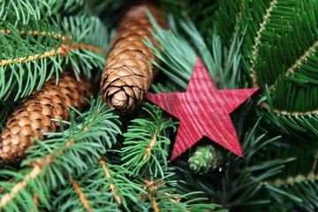 Tannenzapfen an Weihnachten