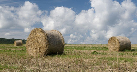 straw rolls