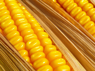 corn